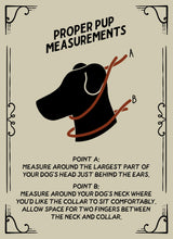 Load image into Gallery viewer, Martingale Dog Collar--Black Pueblo
